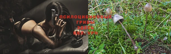 таблы Заволжье