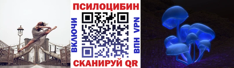 где купить   Змеиногорск  Галлюциногенные грибы Psilocybe 